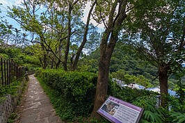 春天開滿櫻花的春秋步道，也是當地賞櫻的私房景點。