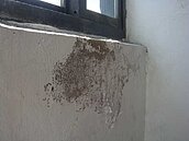 豪雨看屋別忘「要摸」　找NG淹水屋靠這招