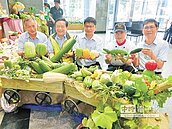 抗熱！　瓜果節主推苦瓜、絲瓜
