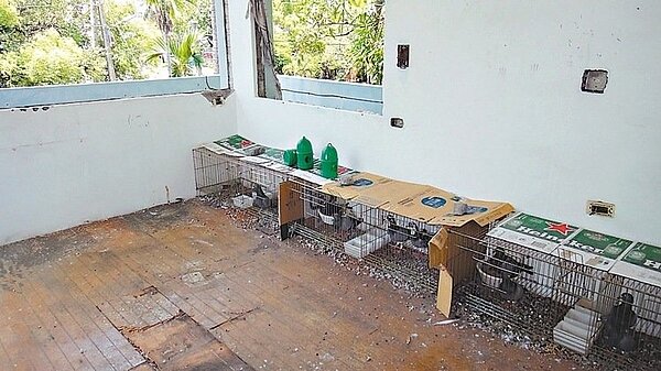 東港共和新村點交給軍方的空屋，2樓房間遭人占據作鴿子繁殖場，被眷戶發現有一排排的鴿籠。 記者蔣繼平／攝影