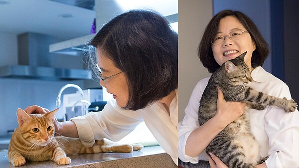 總統蔡英文分別養了阿財(左)跟想想(右),可愛沒模樣備受粉絲喜愛。(翻攝自蔡英文臉書)