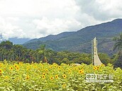 瑞穗花海音樂饗宴　邀您聆賞