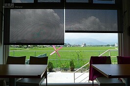 從館裡往外看，四週都是綠油油的稻田。
