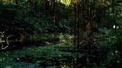 老台北人的回憶！「榮星花園」迎大翻修　亮點一次看