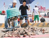 船漂流魚死7000斤　漁民抗議！