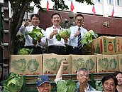 力挺菜農百分百　行政院中辦團購8000公斤