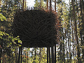 典酒店建世上最大樹屋！　離地面6米有3間臥房