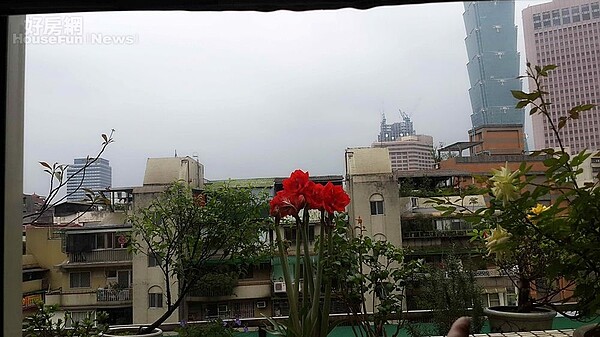 5. 主臥室可看到陽台的紅花綠葉。