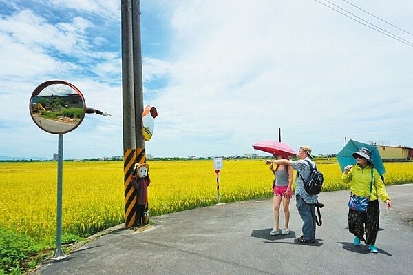 三奇伯朗大道遊客看到入口處的稻草人伸手指路,感到有趣。 記者吳佩旻/攝影