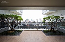 建築單、雙層錯層植樹規劃；單雙層具有外玄關迎賓植樹前庭或客廳側邊私人花園空間的選擇，錯落的對外採光面增加建築的豐富性與趣味感。