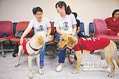 飯店禁導盲犬　北市限改