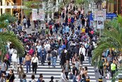 股市越熱，房市越冷？資金失衡下的新市場訊號