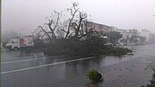 「大樓搖得像地震」尼伯特強風暴雨　台東民眾好怕