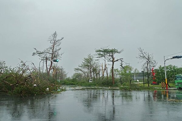 美術館前的高大路樹,全部被攔腰吹斷。(翻攝自台東臉書災害通報專頁)