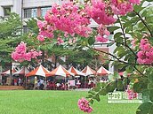 「省訓團」一甲子　紫薇花祭慶生