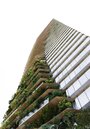 全球唯一「Kuma Tower」上梁　隈研吾：打造世界級台灣商辦