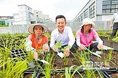 屋頂變花園　竹市最高補助30萬