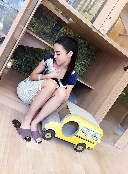 4.張東晴10歲開始養貓咪，對於貓咪照護有一套。
