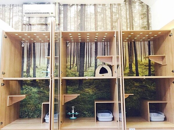 6.店內目前規劃32間套房、6間豪華房。
