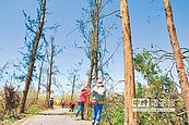 樹倒10萬棵　森林公園18日重開張