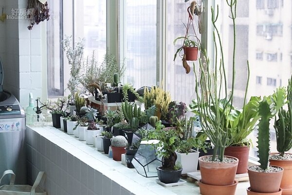 新北市土城一小資成家的年輕男女。(圖/屋主提供)