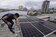 屋頂光電新制　8月上路