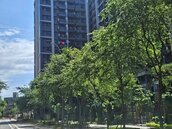 看A7房看了多年不下了手　竟被「這價位」案子吸引　置產客也衝出！