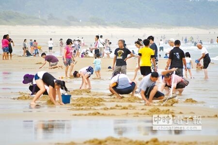 金門花蛤季紅男綠女解放海灘 好房網news