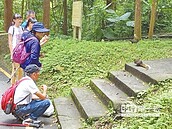 溪頭遊客餵松鼠　恐破壞生態