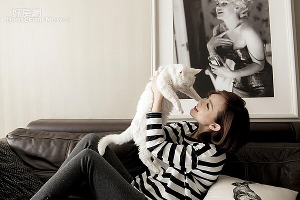 凱特王精心打造北京風格宅邸。(圖/凱特王工作室提供)