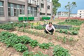 竹南塭內社區閒置空間　變身開心農園