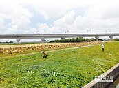 李進勇：3管齊下　活化地層下陷區