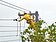 電力取得　台電連3年排名世界第2