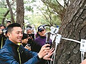 樹醫把脈　新竹公園3千老樹健檢