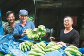 香蕉創40年新高價　產地百公斤賣9千元