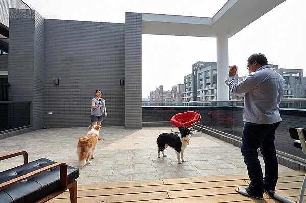 給毛小孩安全的生活環境 人與寵物的裝潢哲學