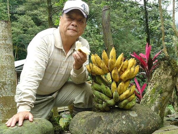 1. 昔日舞龍教頭吳富德,如今享受快樂的田園生活。