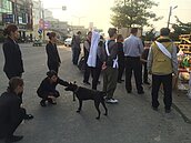 新營五口喪生火窟　小黑狗仍獨自看家