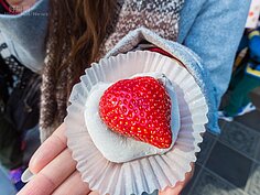 超大草莓大福，愛草莓的人絕對不容錯過。