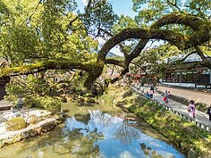 太宰府天滿宮一景。