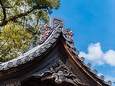 裝飾在拱型屋頂上的就是櫻花。