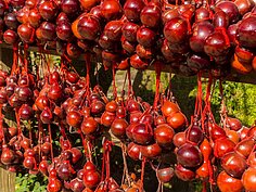 葫蘆形狀的繪馬。