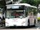 6政策改善交通　公車將捷運化