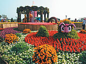 台中花毯節　首日湧8.8萬人次