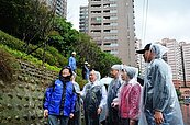 基隆打造「櫻花大道」　樂利三街種植山櫻花