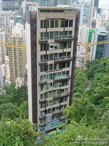 4.中半山不少豪宅都是依山而建，視野相當開闊。（翻攝自PropGOLuxury微博）
