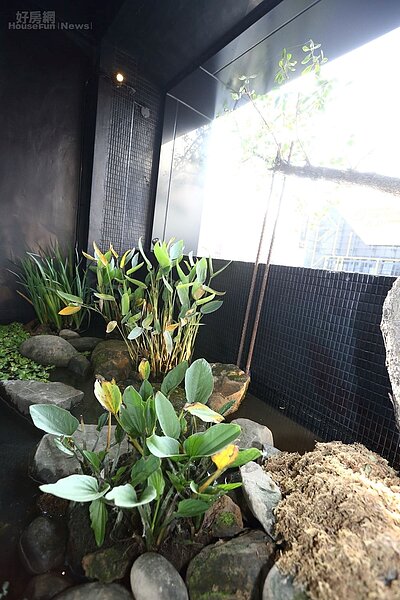 9.二樓戶外水生造景,別有一番風味。