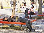 元旦暖洋洋　中南部出遊嚴防空汙