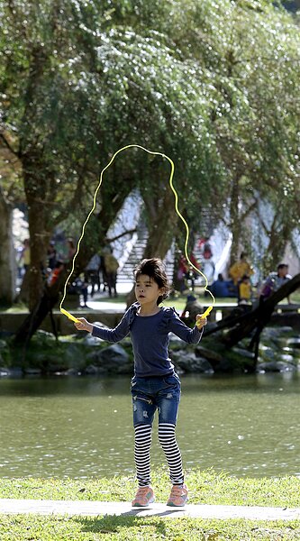 這個冬天常見暖暖冬陽普照。 聯合報系資料照