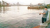 花蓮港違釣3年暴增4.8倍　最高罰3000元
